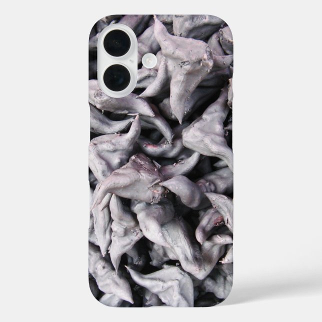 Buffalo Nuts - Water Caltrop Case-Mate iPhone Hülle (Rückseite)