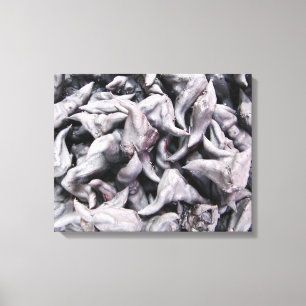 Buffalo Nuts - Water Caltrop Leinwanddruck