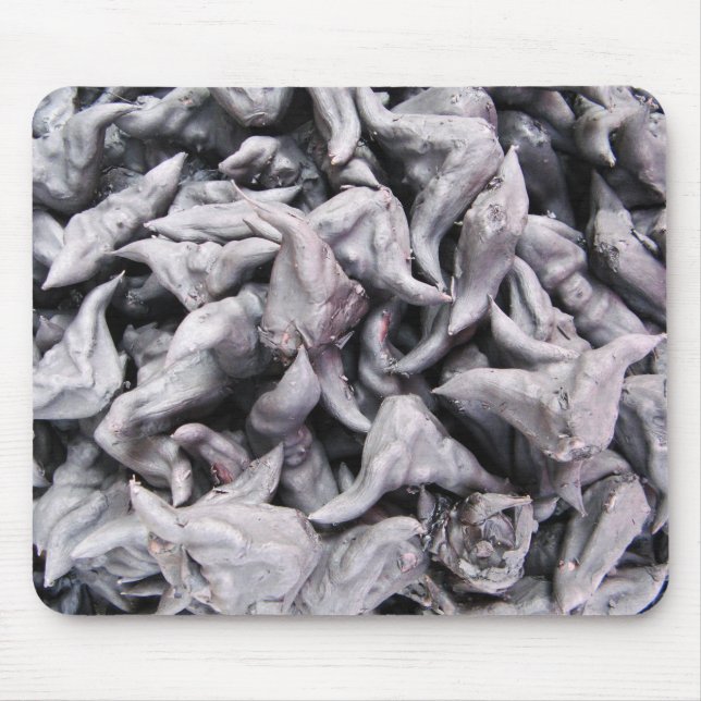 Buffalo Nuts - Water Caltrop Mousepad (Vorne)