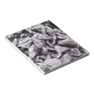 Buffalo Nuts - Water Caltrop Notizblock