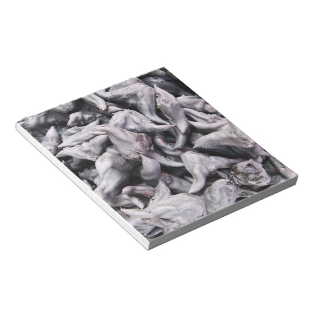 Buffalo Nuts - Water Caltrop Notizblock (angewinkelt)