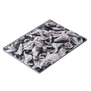 Buffalo Nuts - Water Caltrop Notizblock