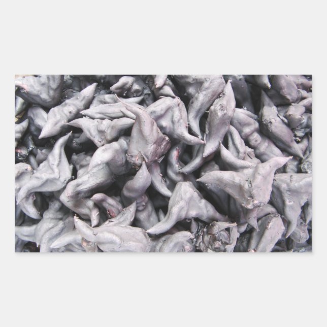 Buffalo Nuts - Water Caltrop Rechteckiger Aufkleber (Vorderseite)