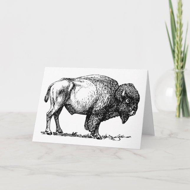 Buffalo or Bison Greeting card Karte (Vorderseite)