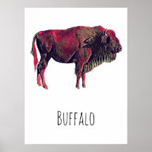 Buffalo Portrait Design für Bison oder Weiße Tiere