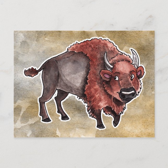 Buffalo Postkarte (Vorderseite)