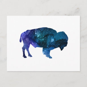 Buffalo Postkarte