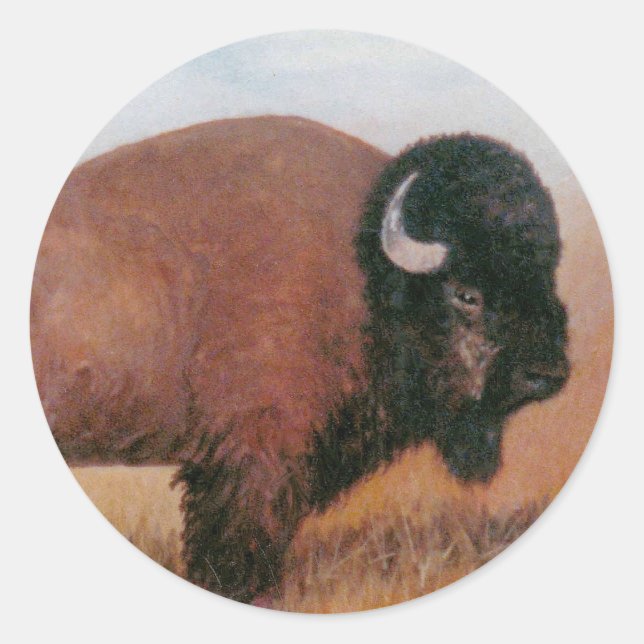 Buffalo Runder Aufkleber (Vorderseite)