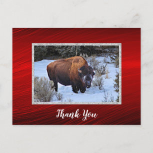 Buffalo-Schneefoto Danke Postkarte