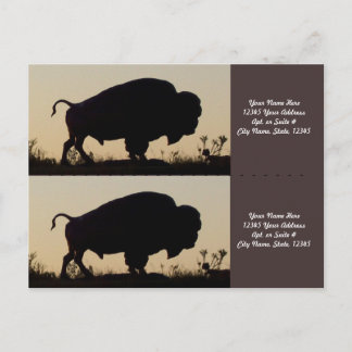 Buffalo Silhouette Bookmarkers Postkarte