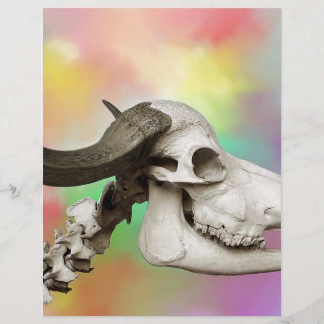 Buffalo Skull auf einem Aquarellbild (Vorderseite)