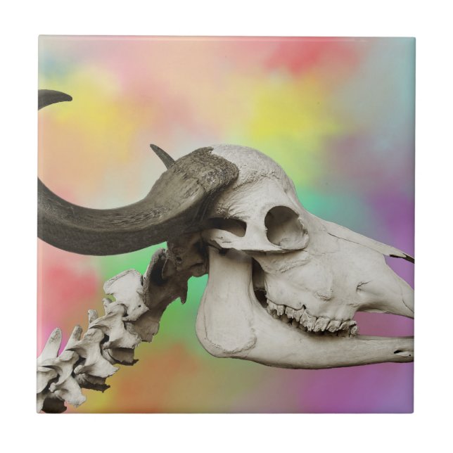 Buffalo Skull auf einem Aquarellbild Fliese (Vorderseite)