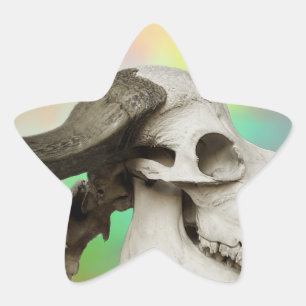 Buffalo Skull auf einem Aquarellbild Stern-Aufkleber