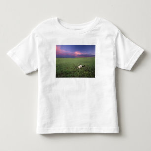 Buffalo Skull in Prairie Grass bei Medora Kleinkind T-shirt