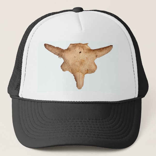 Buffalo Skull Truckerkappe (Vorderseite)