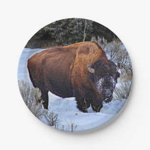 Buffalo Snow Foto Pappteller