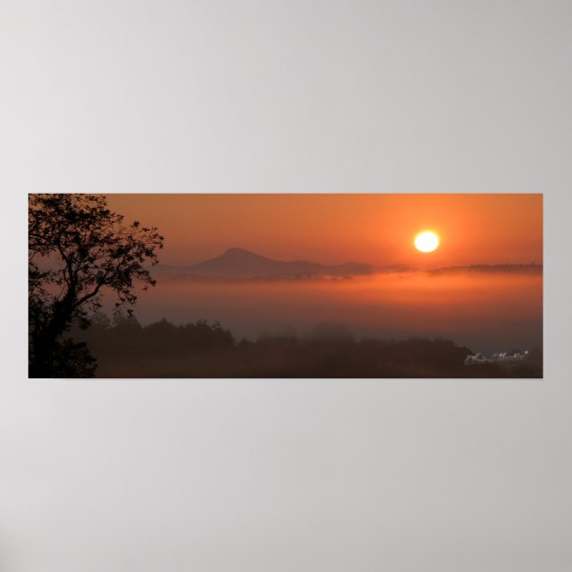 Buffalo Sunrise Poster (Vorne)