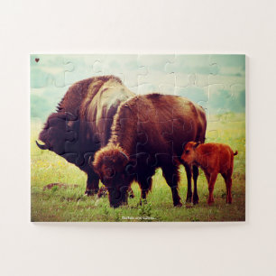 Buffalo und Calves Puzzle
