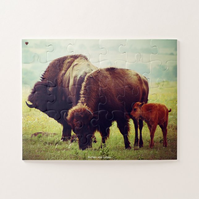 Buffalo und Calves Puzzle (Horizontal)
