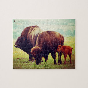 Buffalo und Calves Puzzle