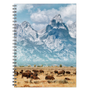 Buffalo Unterhalb des Grand Teton Mountains Notizblock