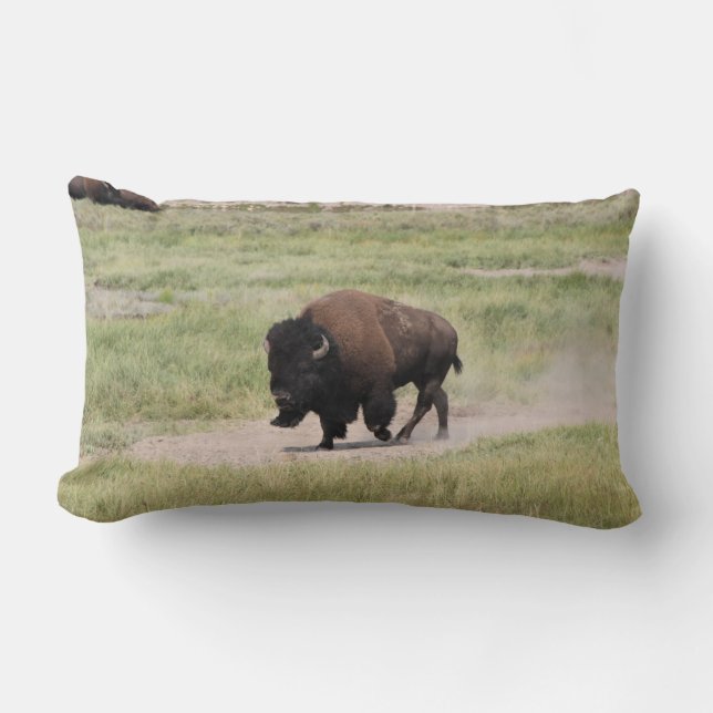 Buffalo unterwegs, Fotografie Lendenkissen (Vorderseite)