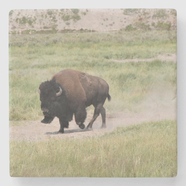 Buffalo unterwegs, Fotografie Steinuntersetzer (Vorderseite)