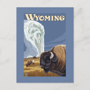 Buffalo von Old Faithful Vintage Travel Poster Postkarte
