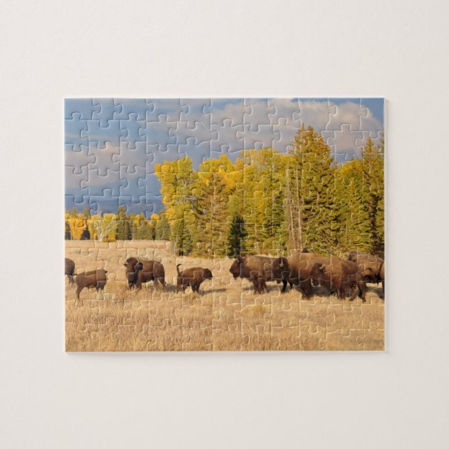 Buffalo Wyoming Puzzle (Horizontal)