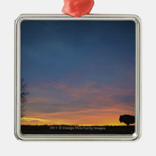 Büffel am Sonnenuntergang im Silbernes Ornament