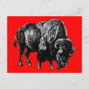 Büffel Amerikanischer Bison Vintage Holzstich Postkarte