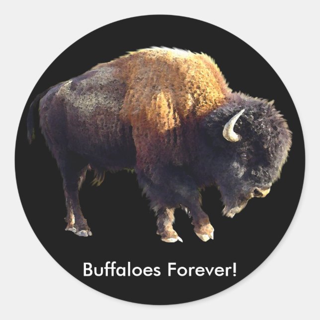 Büffel für immer! Bison Lover Art Stickers (Vorderseite)