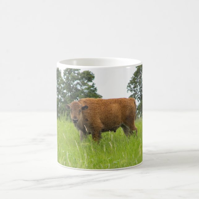 Büffel-Kalb Tasse (Mittel)