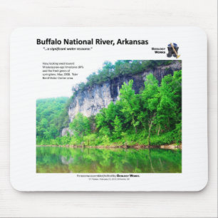 Büffel-nationaler Fluss I - Frühlings-Laub 2008 Mousepad