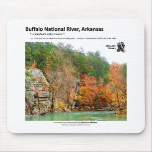 Büffel-nationaler Fluss II - Herbstfarben 2009 Mousepad