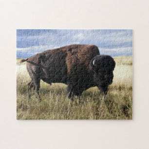 Büffel Stier Puzzle