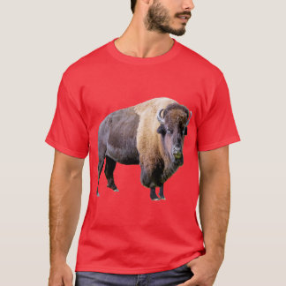 Büffel-T - Shirt
