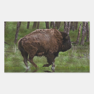 Büffel und Wald, Bison-Liebhaber Design Rechteckiger Aufkleber