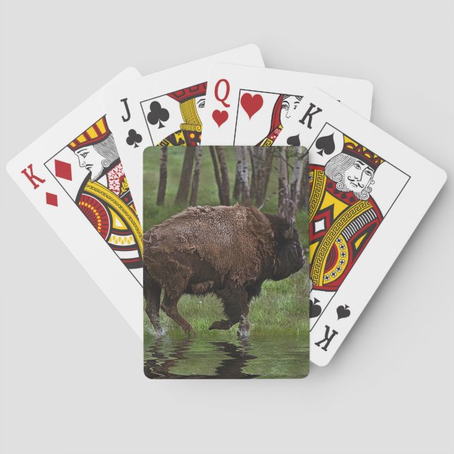 Büffel und Wald, Bison-Liebhaber Design Spielkarten (Rückseite)