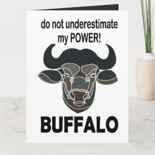 Büffelkopf Bison Tier Büffel Karte