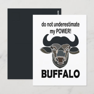 Büffelkopf Bison Tier Büffel Postkarte