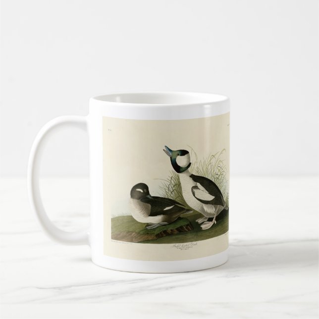 Buffelköpfe von Audubons Vögeln in Amerika Kaffeetasse (Links)