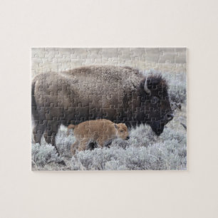 Büffelkuh mit Kalb, Yellowstone Puzzle