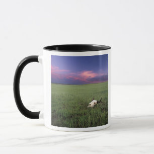 Büffelschädel im Präriegras nahe Medora Tasse