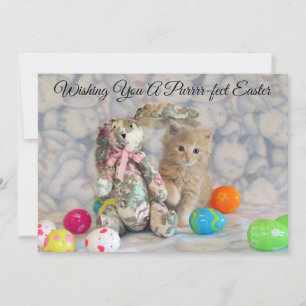 Buffingtons Osterhase  - Katze - Flachkarte Feiertagskarte