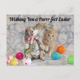 Buffington's Ostersonne - Katze / Kitten Postkarte
