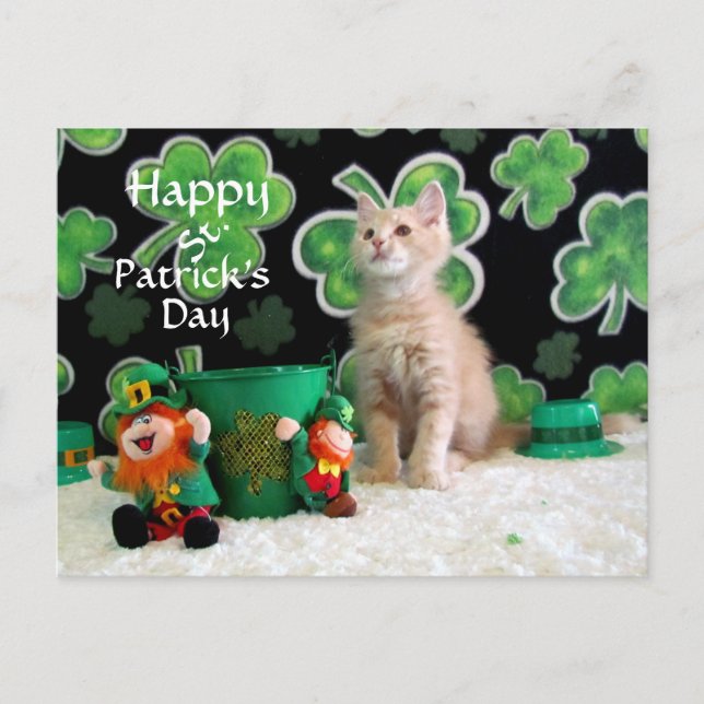 Buffington's St. Patrick's Day Cat / Kitten Postkarte (Vorderseite)