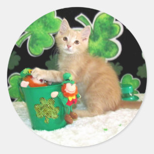 Buffington's St. Patrick's Day Cat / Kitten Runder Aufkleber
