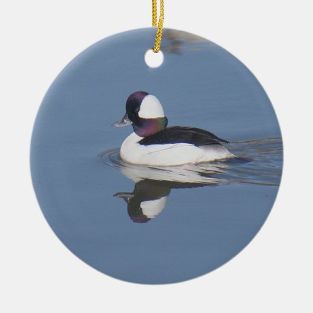 Bufflehead-Ente Drake Keramik Ornament (Vorne)