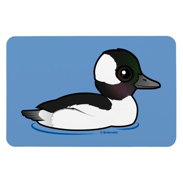 Bufflehead Magnet (Horizontal)